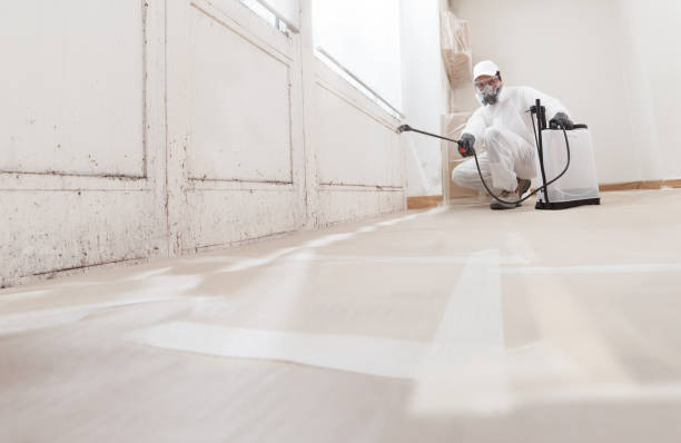 24/7 Emergency Bathroom Mold Removal experts in Wrightsville, GA